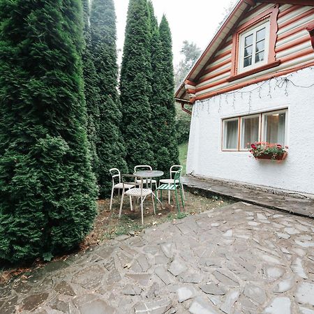 Vila Camelia Sinaia Exterior foto