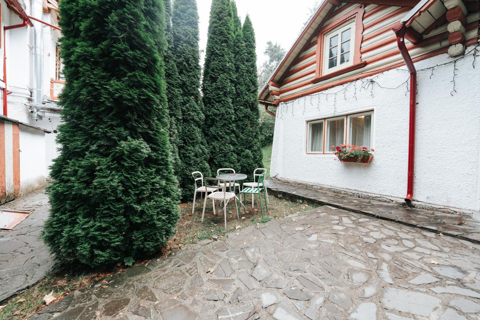 Vila Camelia Sinaia Exterior foto