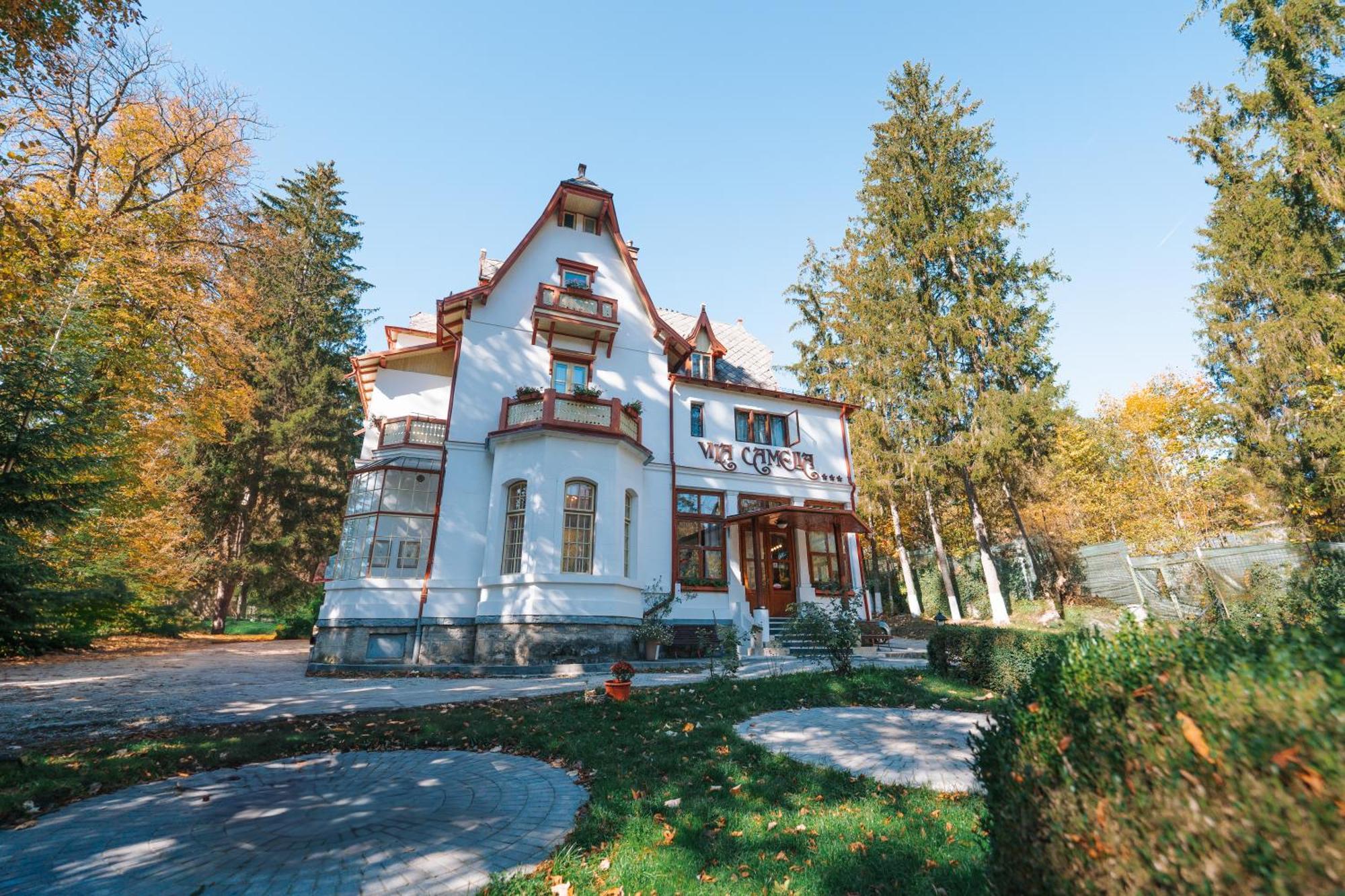 Vila Camelia Sinaia Exterior foto