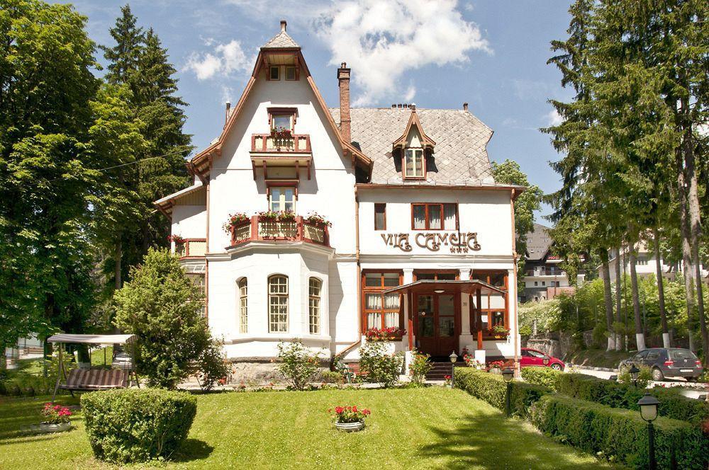 Vila Camelia Sinaia Exterior foto