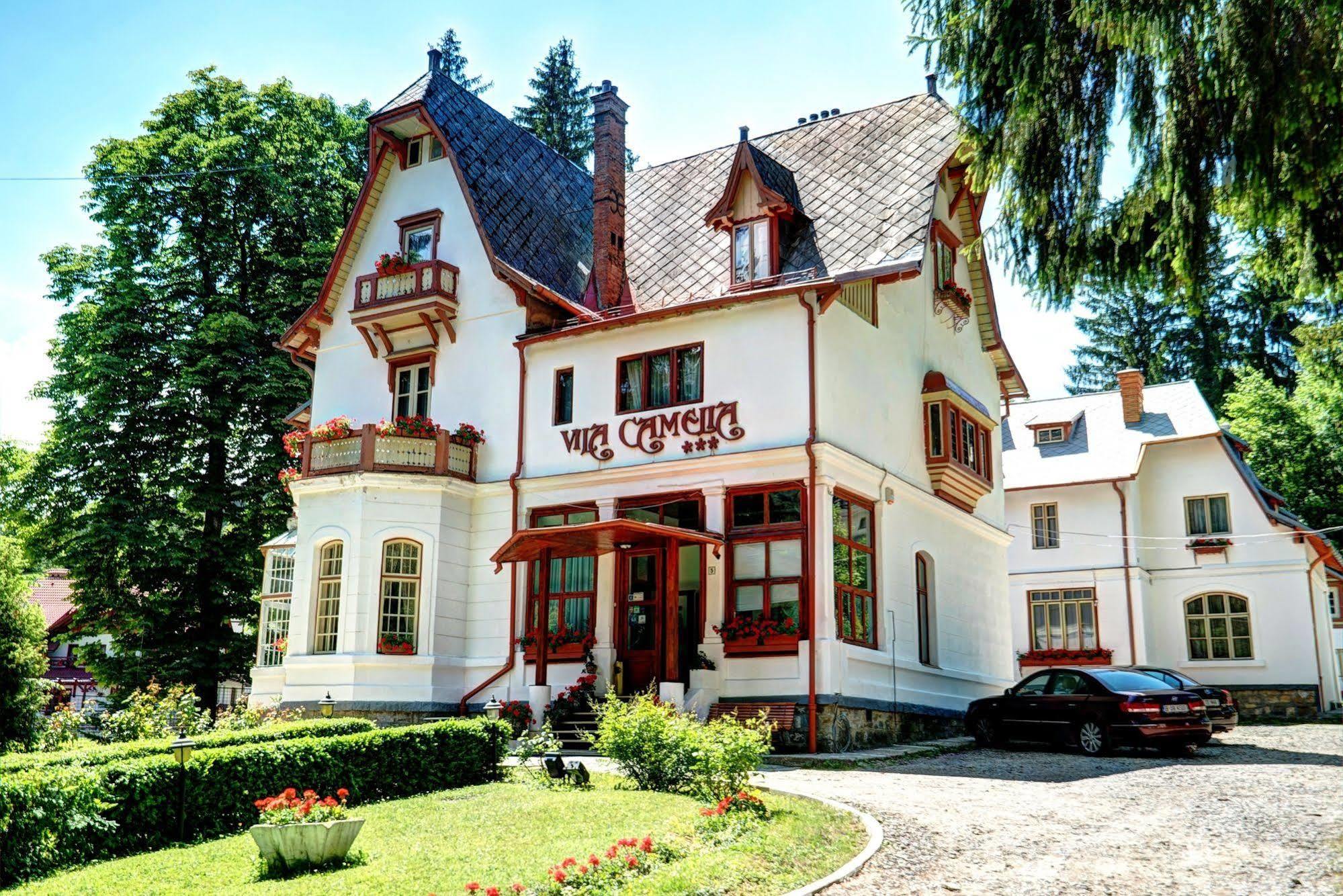 Vila Camelia Sinaia Exterior foto