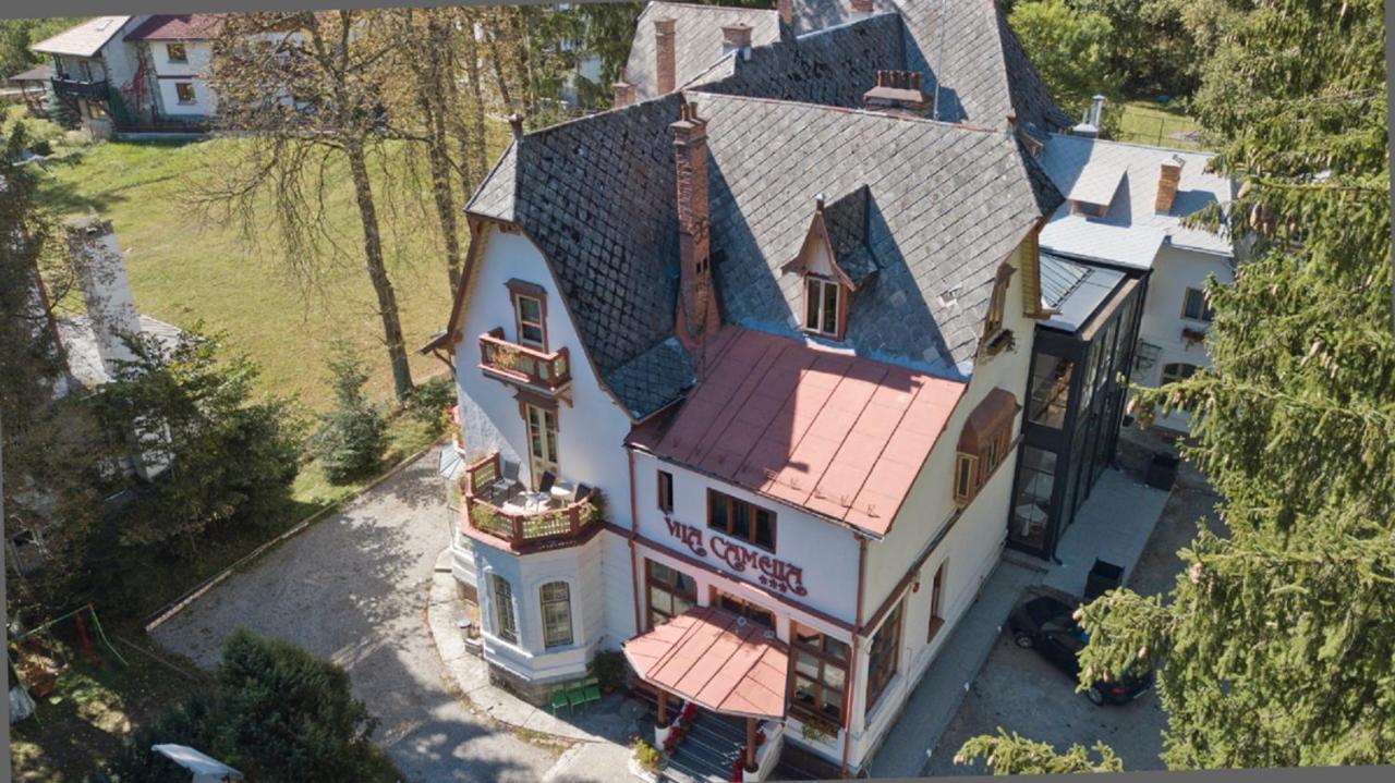 Vila Camelia Sinaia Exterior foto