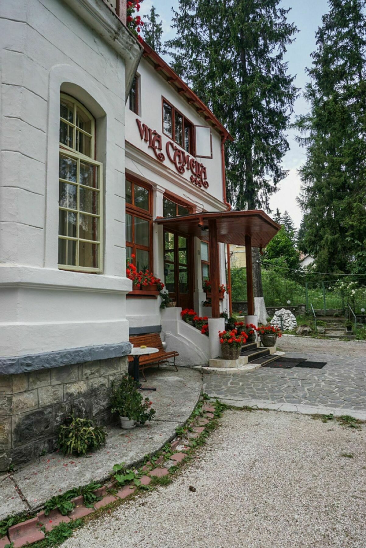 Vila Camelia Sinaia Exterior foto
